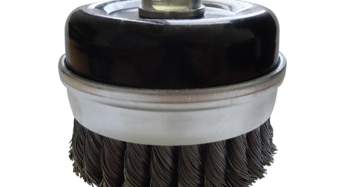 brumby-brushing-btc1003