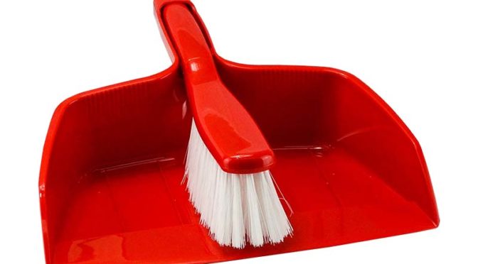 25cm Bench Brush and Pan Set